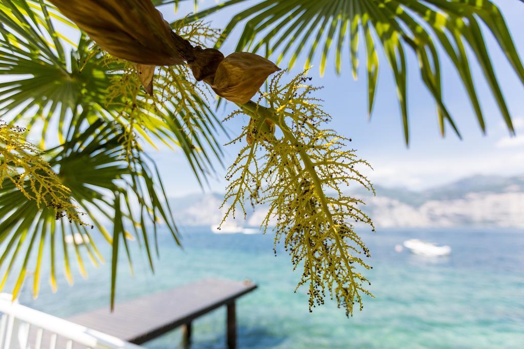 Hotel Vega Malcesine Ngoại thất bức ảnh